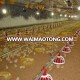 Automatic chicken farm feeding system price broiler feeder poultry farming equipment for sale